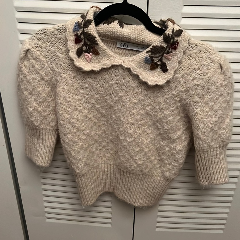 Zara Floral Embroidered Collar Short Sleeve Sweater